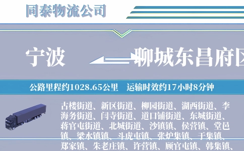 宁波到聊城东昌府区物流公司