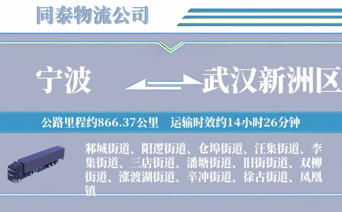 宁波到武汉新洲区物流公司